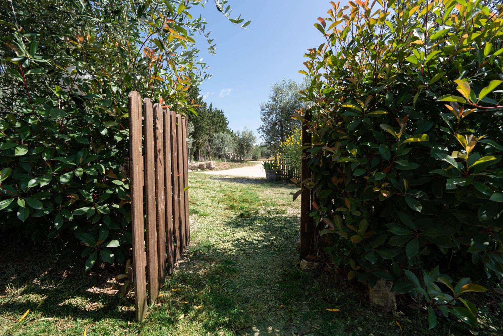 Apartament Casa Alta Greve in Chianti Zewnętrze zdjęcie