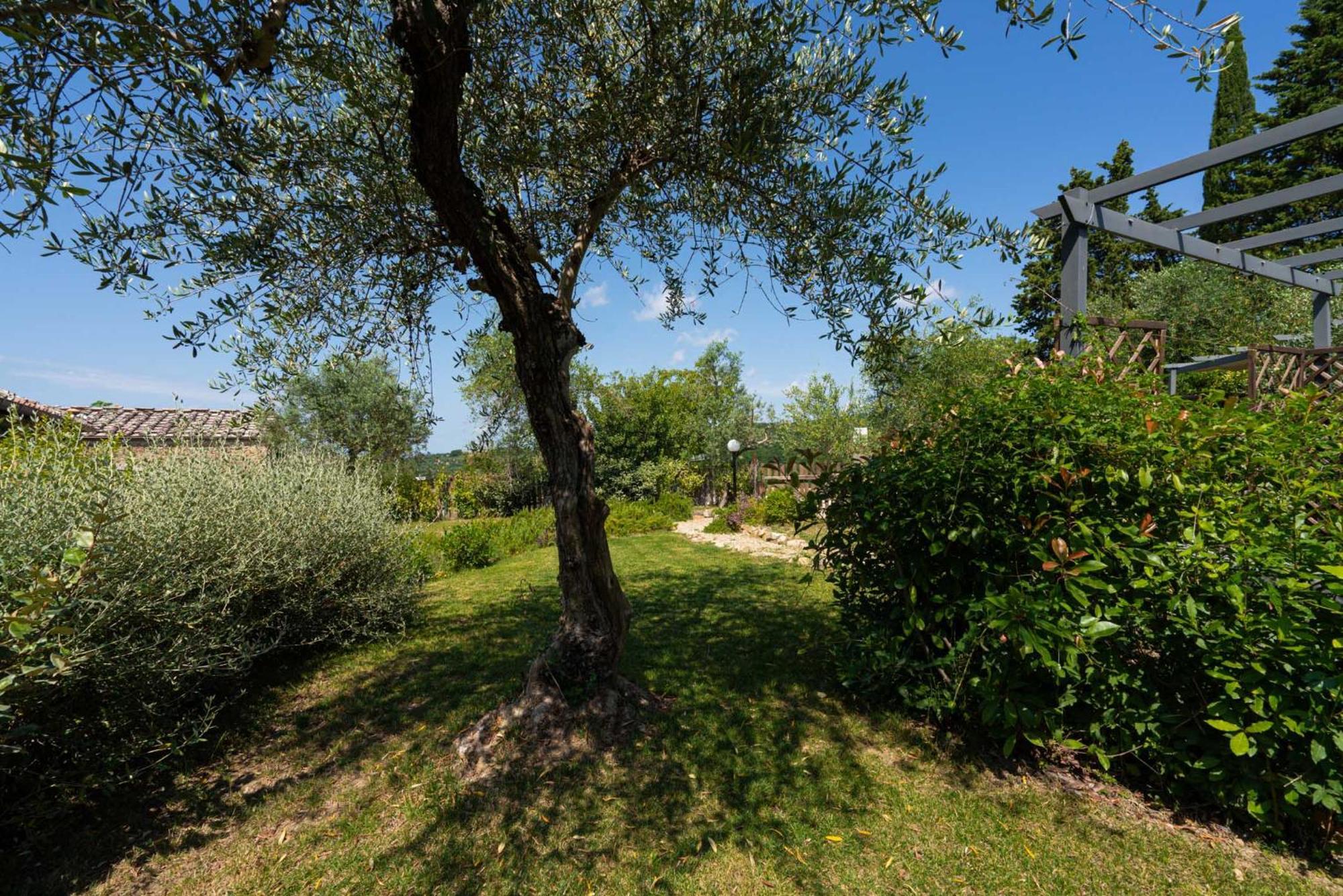 Apartament Casa Alta Greve in Chianti Zewnętrze zdjęcie